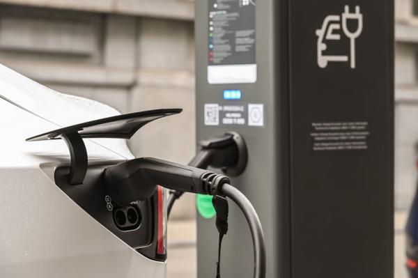 Bornes électriques